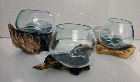 Melted Glass Bowl On Driftwood Available in Natural Or Whitewash Wood Unique & Quirky One Of A Kind Piece, For Plant , Office Home Decor