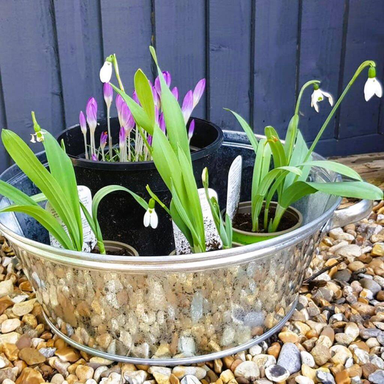 Zinc Round Tub Planter