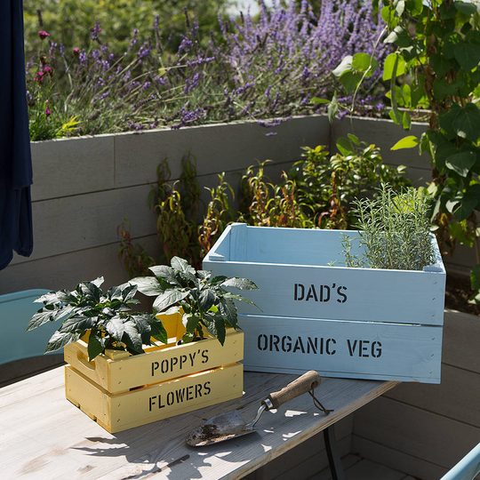 Daddy And Me Personalised Crates, Ivory/Lime Green/Lime