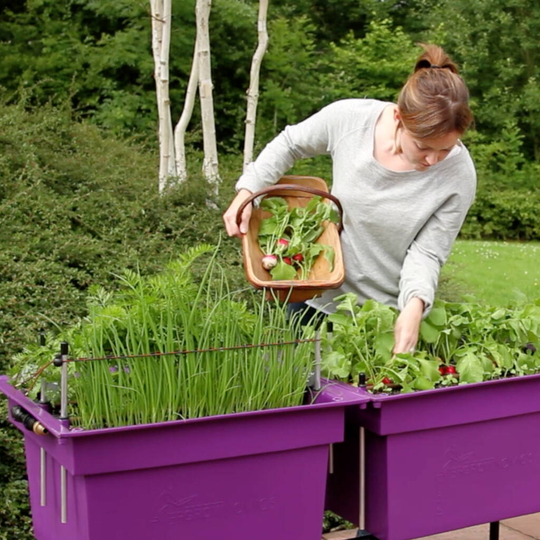Small Self Watering Plastic Vegetable Planter