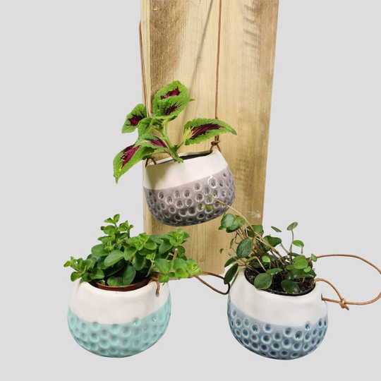 Half Glazed Dotted Hanging Planter Trio, Perfect Gift