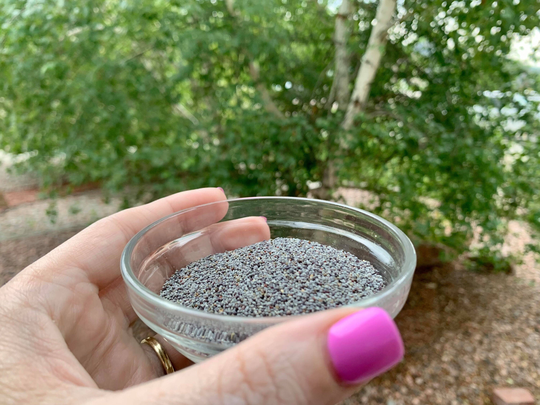 Poppy Seeds | Dreams & Sleep