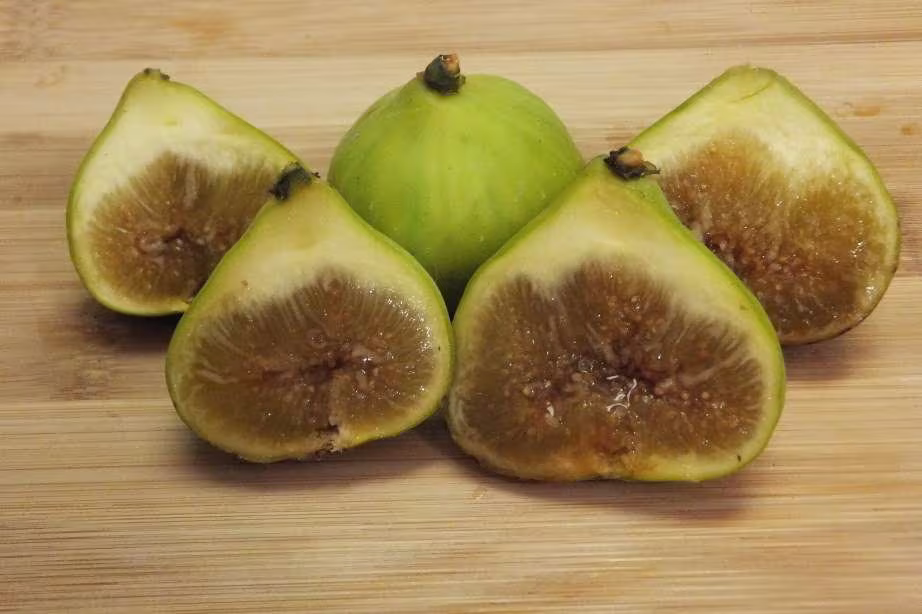 Lsu Gold Fig Tree Ficus Carica Louisian Live Plant 6 To 8 Inch