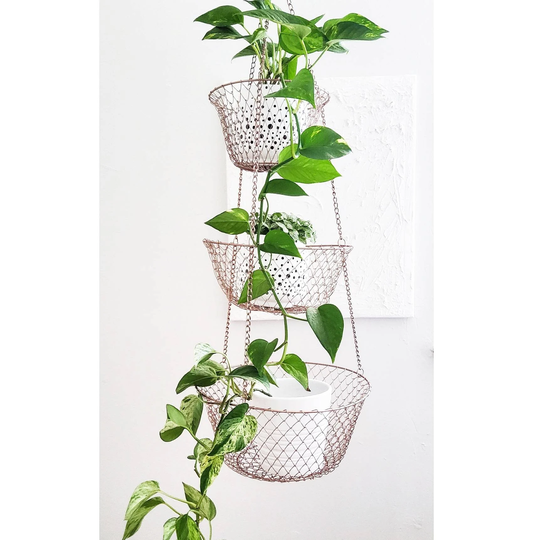 Rose Gold Upcycled Plant Holder/Fruit Basket