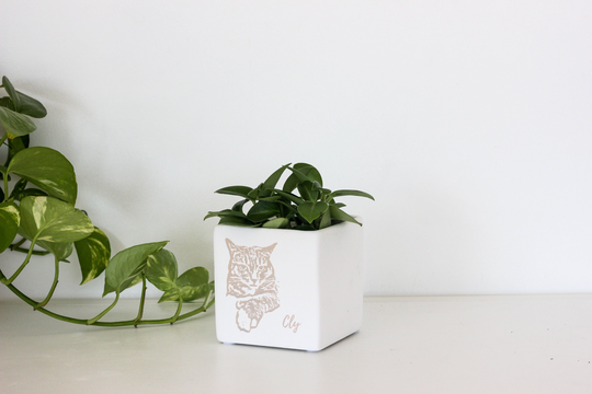 Cats, Dogs & Pets Gift Personalized | Engraved Custom Cube Planter Pot