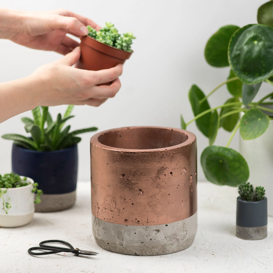 Large Concrete Colour Block Plant Pot - Planter Cactus Planter Succulent Pots