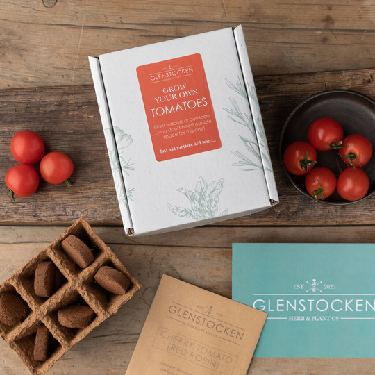 Grow Your Own Tomatoes