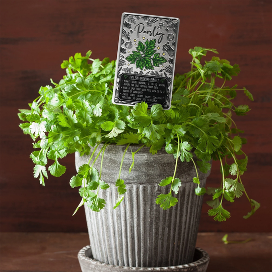 Parsley Plant Marker, Garden Decor