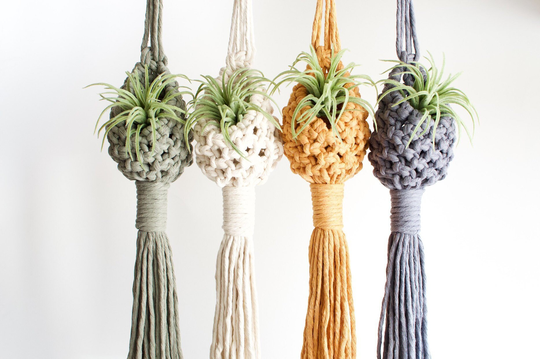 Macrame Air Plant Hanger, Pod, Nest, Ready To Ship Gift