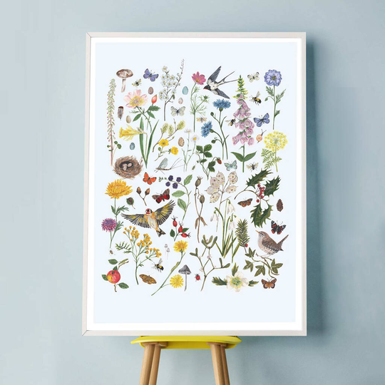 British Wildlife And Florals Through The Seasons Print