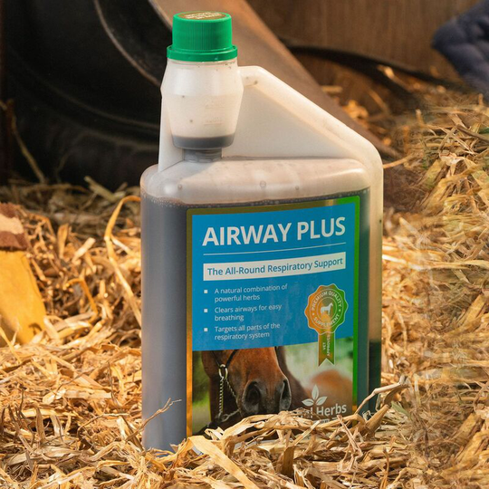 Airwayplus - 1 Lt - AIRWAYPLUSLIQ1L - Global Herbs