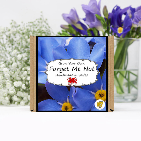 Grow Your Own Forget Me Not Flowers Kit