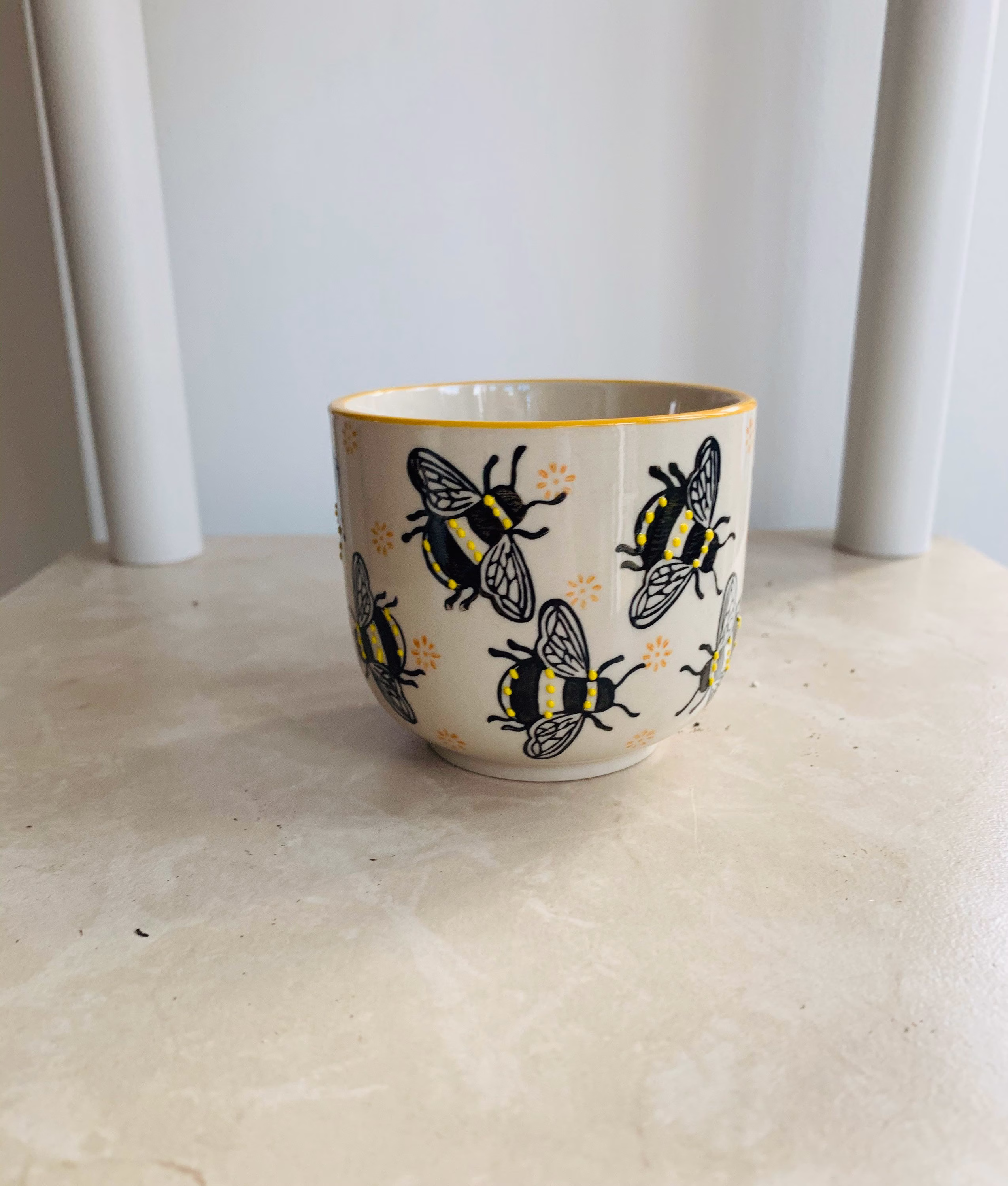 Busy Bee Small Cache Plant Pot, Indoor Pot