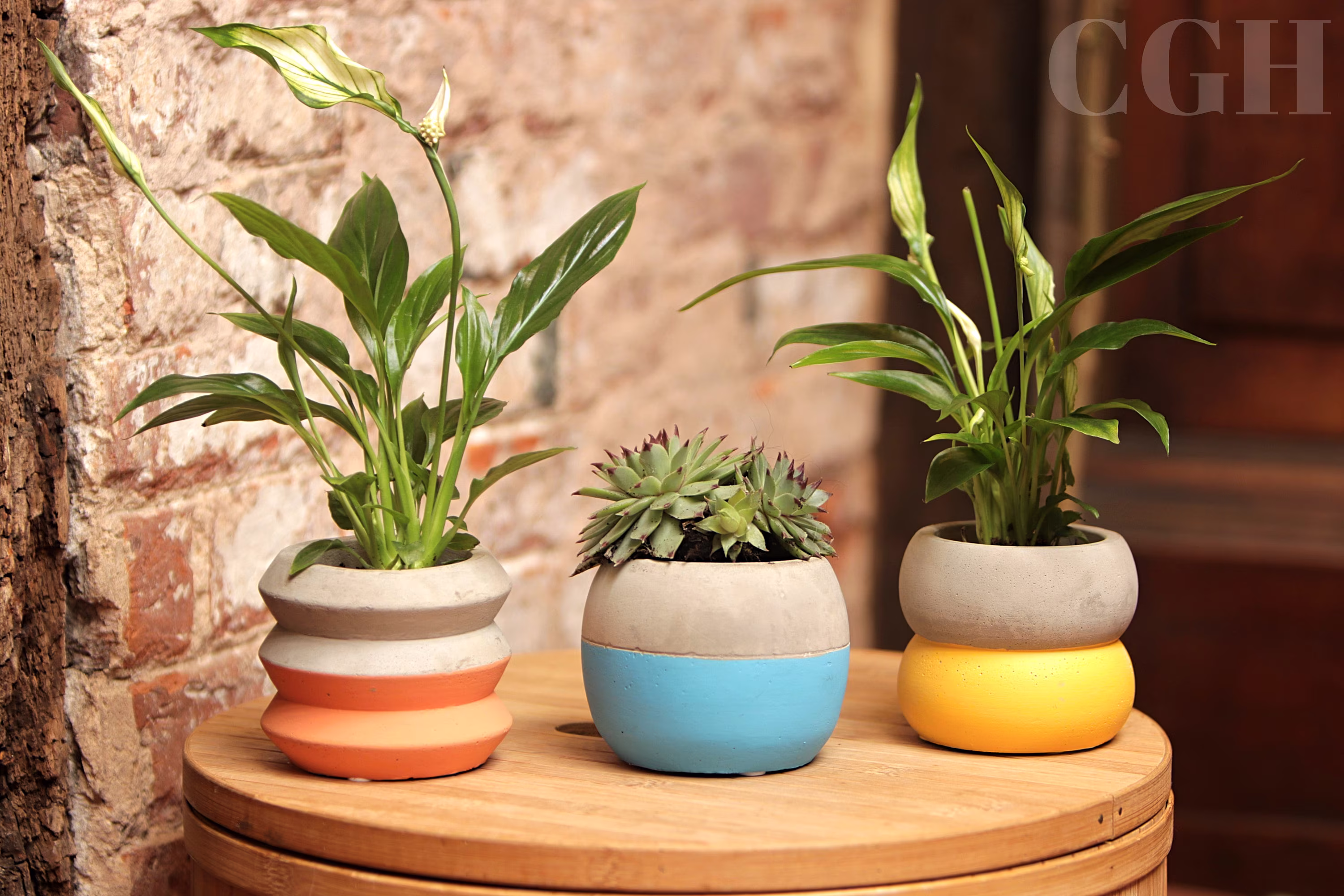 Indoor Planter Pot Cement Colour Block - Botanical Round Houseplant Blue, Yellow, Orange Or Set