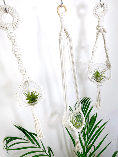 Diy Kit Macrame Air Plant Hanger Includes Glass Bowl For Beginners Craft Gift