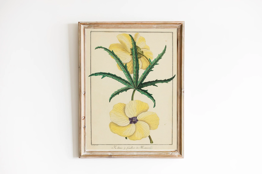 Art Print | Yellow Hibiscus Art Print Vintage Botanical Painting Antique Herbal Ketmia Heritage Illustration