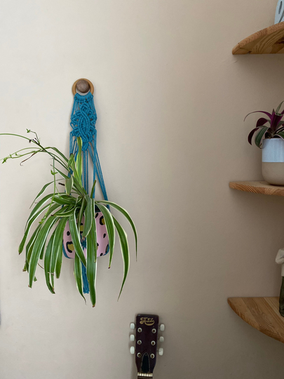 Teal Blue Ornate Plant Holder Wall Hanging, Macrame Hanger, Home Decor, Holder, Boho Decor, Indoor Pot