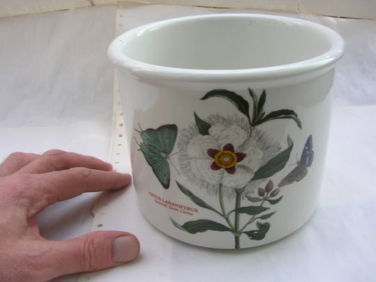 Vintage Ceramic Planter With Spanish Gum Cistus Design, Botanic Garden 1972, By Susan Williams-Ellis Port Meirion Pottery