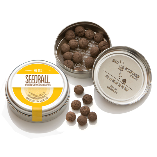 Bee Seedball Wildflower Gift Seed Mix Tin
