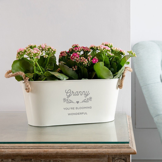 Engraved Flower Plant Pot