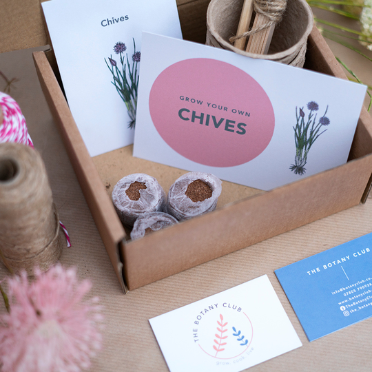 Sustainable Grow Your Own Veg Kit