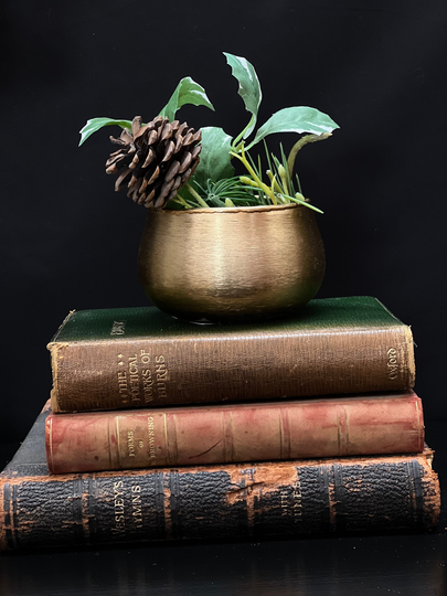 Gold Rustic Plant Pot - Small Indoor Planter Brushed Metal Finish Christmas Festive House Glazed Metallic