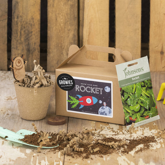 Rocket Ship Seed Kit, Grow Your Own Rocket, Party Bag