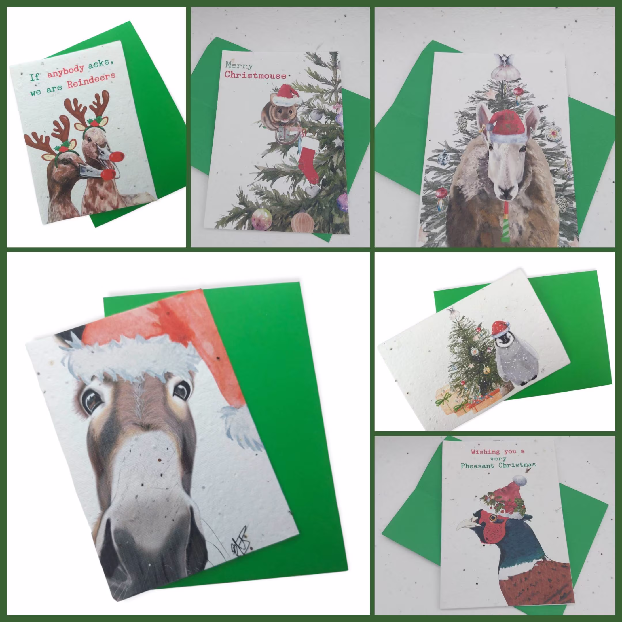 Plantable Christmas Seed Cards - Eco Friendly -Flower Cards- Pack Of 6