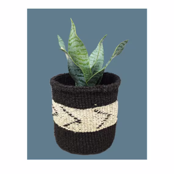 Plant Basket Gift, Woven Small, Basket For Plant, Planter, Woven Small Storage Basket, Sisal Gift