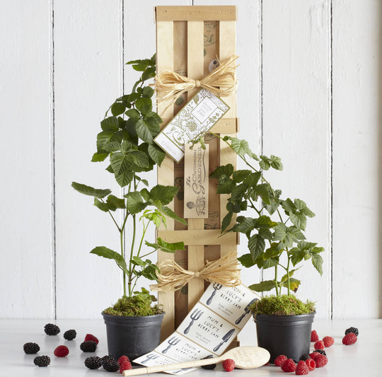 Grow Your Own Berry Jam With Personalised Wooden Spoon