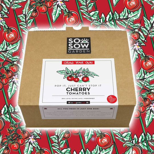 Cherry Tomato Grow Your Own Kit