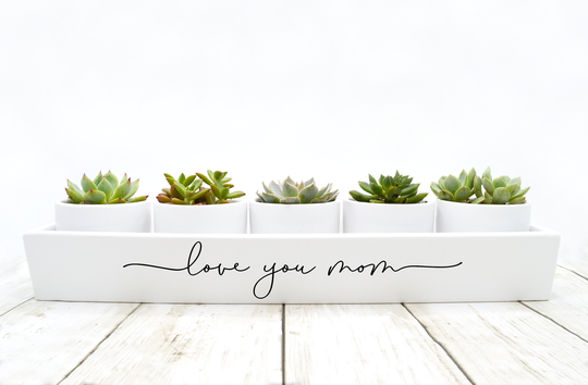 Love You Mom Planter Set | Gifts Birthday Gift For Indoor Succulent Pots Plants Not Included | Matte White