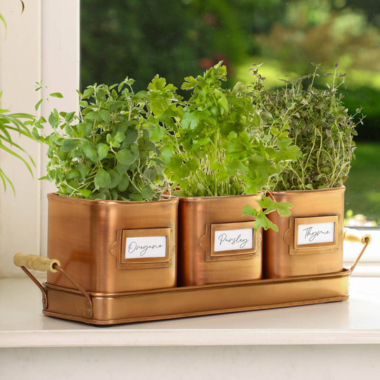 Copper Herb Plant Pot Trio And Tray