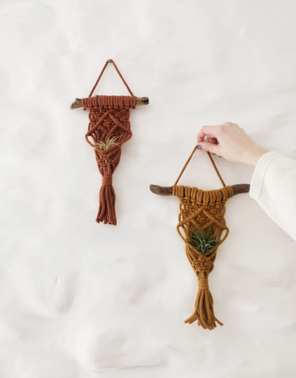 Airplant Hanger | Holder Macrame Wall Decor Tillandsia Display Small Plant Gift Air Makramee