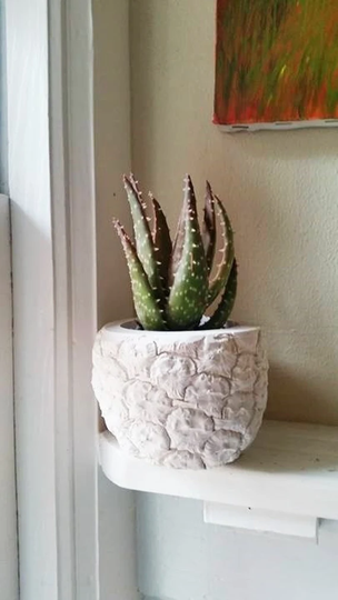 Pineapple Planter, Home Accent, Pineapple Pot, Succulent Tropical Decor, Beach House, Housewarming Gift