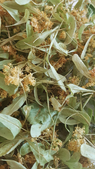 Linden Tea, Flowers Dried Linden, 100% Natural