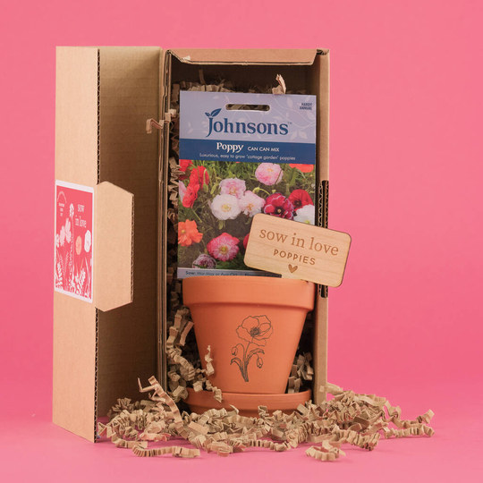 Sow In Love Seed Box Set