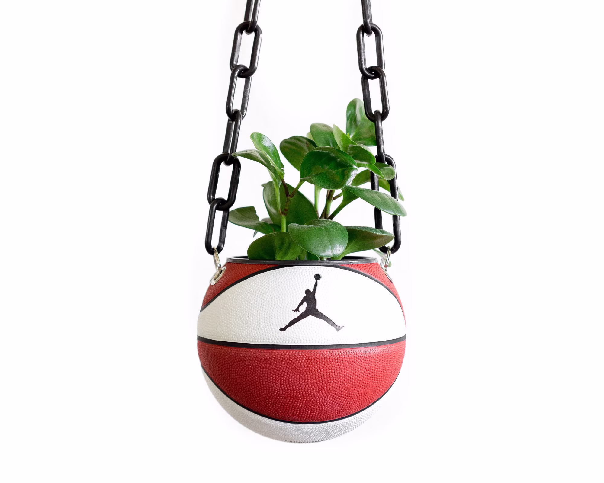 Plntrs - Jordan Skills Mini Basketball Hanging Planter New Ball With Chain