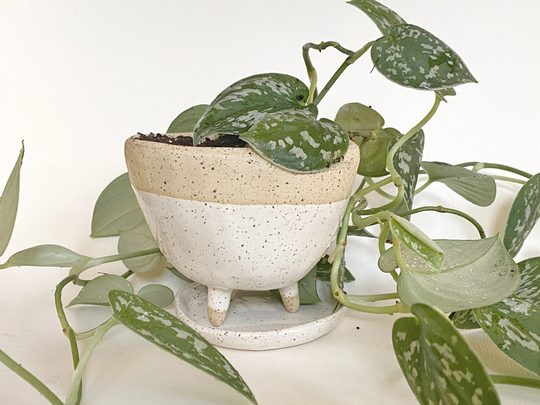 Perfect Planter With Drainage & Saucer