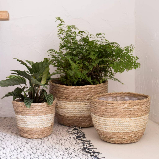 Pack Of Three Natural Seagrass Planter Baskets