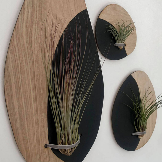 Wall Hanging Planters Set Of Three