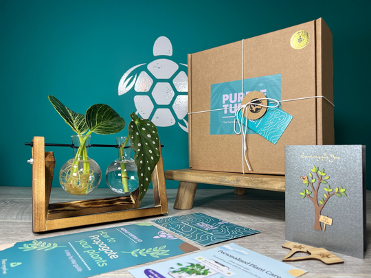 Plant Propagation Station + Gift Box | Lovers Gifts For Her Indoor Stand Garden Free App Membership