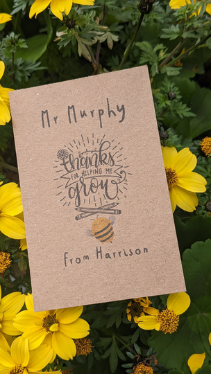 Personalised Helping Me Grow Teacher /Ta End Of Term Bee Friendly Seed Packets Contains Seeds