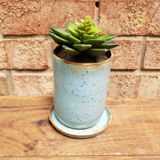 Succulent Planter & Saucer, Handmade Blue Speckled Pottery Flowerpot, Nc Stoneware
