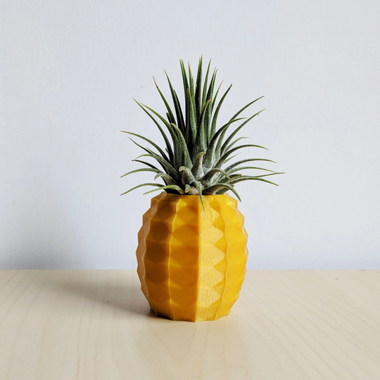 Pineapple Air Plant Holder As A Gift For Her, Him, Gold Airplant, Printapot Planter, Container