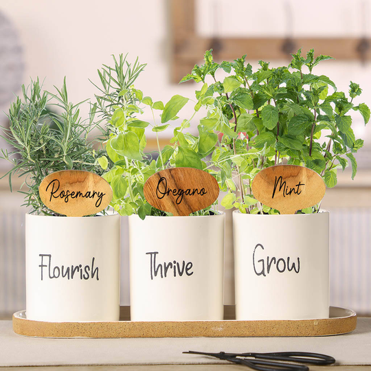 Personalised Gin Herbs Plant Pots And Tray