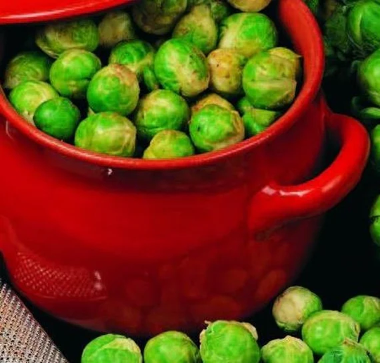 Brussel Sprout Groninge Vegetable Seeds Easy Grow | Brassicaoleracea Your Own Indoor Outdoor in The UK