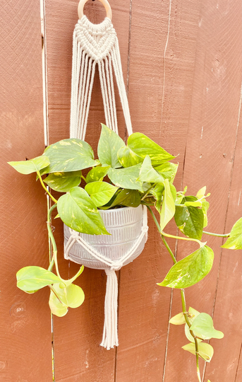 Heart Design Macrame Plant Hanger Hanging Planter Indoor Garden Decor Short Wall Small Pot Holder Rope Boho
