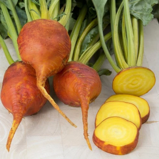25 Burpee's Golden Beetroot Seeds