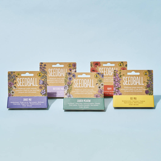 Wildflower Seeds Collection Pack Of Three